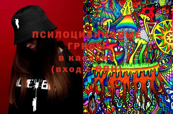 скорость Пересвет