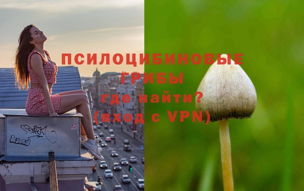 экстази Переславль-Залесский