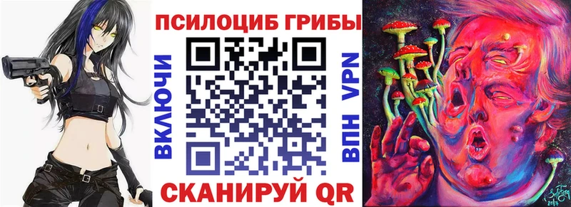 Галлюциногенные грибы GOLDEN TEACHER  купить наркотики цена  Елец 