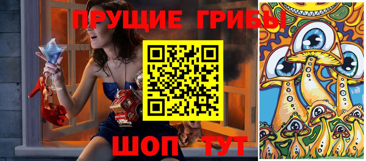 Псилоцибиновые грибы GOLDEN TEACHER Елец