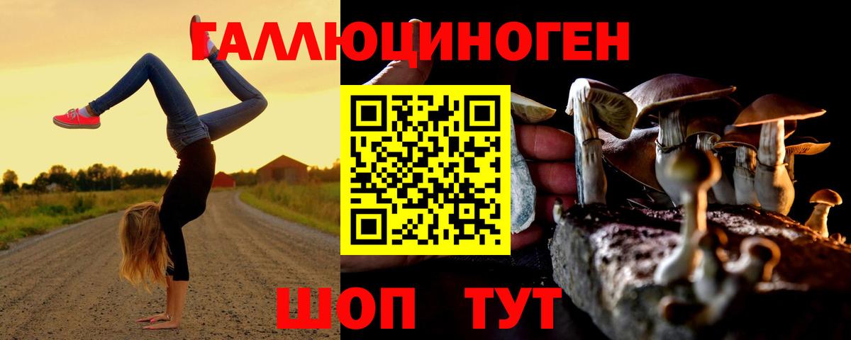 Галлюциногенные грибы GOLDEN TEACHER Елец