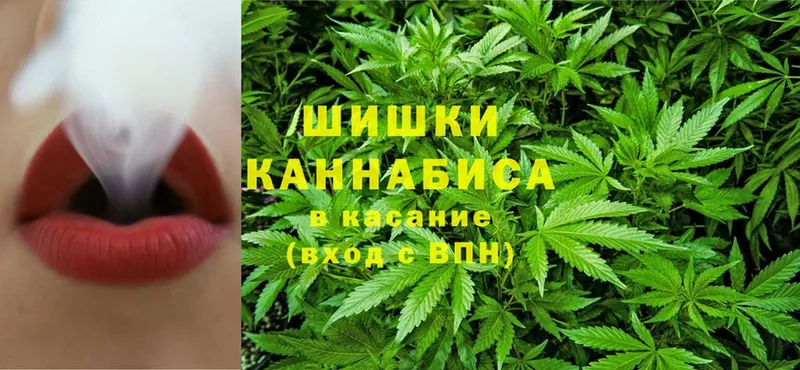 Канабис White Widow  Елец 